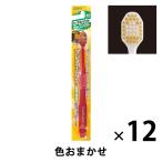 プレミアムケア 歯ブラシ 6列コンパクト やわらかめ 1セット（12本） 幅広ヘッド エビス 歯ブラシ