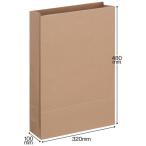 「現場のチカラ」 アスクル フラップなし宅配袋（紙製） 茶 大サイズ 封かんシールなし 1パック（100枚入） オリジナル