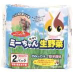 猫草 ミーちゃんのすっきり生野菜 2個入 イデシギョー