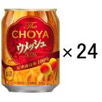 缶チューハイ　酎ハイ　梅酒サワー　チョーヤ　ウメッシュ　プレーンソーダ　250ml　1ケース(24本)