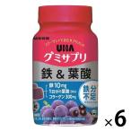 UHAグミサプリ 鉄&葉酸 ボトルタイプタイプ 30日分 6個 UHA味覚糖 サプリメント