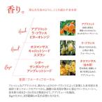 アイテムID:5876055の画像3枚目