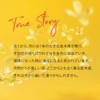 アイテムID:5876055の画像4枚目