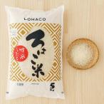 発送日精米 精白米 ろはこ米 新潟県産こしいぶき 5kg 令和元年産