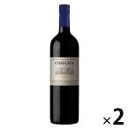 【アウトレット】コセチャ メルロー 1セット（750ml×2本）　チリワイン　お酒