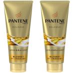 パンテーン エクストラダメージケア デイリー補修 トリートメント 特大 300g 1セット(2個) P&G
