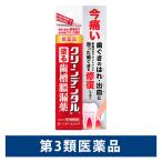 クリーンデンタルN塗る歯槽膿漏薬 16g 第一三共ヘルスケア 今痛い歯ぐきのはれ・出血に【第3類医薬品】