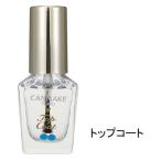 CANMAKE（キャンメイク） カラフルネイルズ NTCトップコート 井田ラボラトリーズ