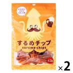 【アウトレット】壮関 するめチップ 42g 1セット（2袋）　おつまみ　お酒のお供　おやつ　魚介　乾きもの