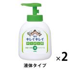 【アウトレット】キレイキレイ　薬用キッチンハンドソープ　本体250ml 1セット（2個：1個×2） 液体タイプ ライオン　液体せっけん