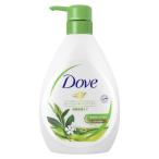 【アウトレット】ユニリーバ ダヴ ボディウォッシュ グリーンティー＆バーベナフラワー ポンプ DVBGV-1-A 1個