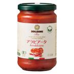 【アウトレット】ソル・レオーネビオ オーガニックパスタソース アラビアータ 290g 392380 1個　料理の素　調味料