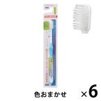 【アウトレット】DENTALPRO（デンタルプロ） ハブラシ コンパクト やわらかめ 1セット（6本） 虫歯予防 歯周病 歯ブラシ