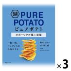 湖池屋 じゃがいも心地 オホーツクの塩と岩塩の合わせ塩味　3袋　ポテトチップス　スナック菓子