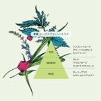 アイテムID:5876808の画像2枚目