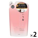 【セール】いち髪 ザプレミアムエクストラダメージケア トリートメント シルキースムース 詰め替え 340g 2個 クラシエホームプロダクツ