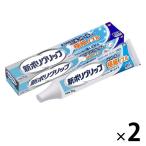 新ポリグリップ 極細ノズル メントール 部分・総入れ歯安定剤 70g 1セット（2個） グラクソ・スミスクライン 入れ歯安定剤