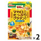日清製粉ウェルナ マ・マー マカロニたっぷりグラタンセット ホワイトソース用 4人前 ×2個