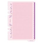 下敷＆スケール decona システム手帳用 HAR496 レイメイ藤井