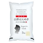 無洗米 山形県産はえぬき 5kg 令和元年産 米 お米