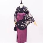 o.. sama . распродажа сделал! церемония окончания кимоно . hakama 6 пункт продается в комплекте рост примерно 153 из 157cm соответствует чёрный глициния цвет Sakura 