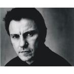  - - Bay kai teru импорт фотография 00421.