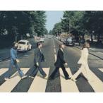  Beatles The Beatles abbey road импорт фотография примерно 20.3x25.4cm. 10072r