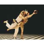  большой li bow лыжи Джеф Bridge s Julien Moore The Big Lebowski примерно 20.3x25.4cm импорт фотография 10294