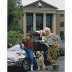  задний tu The Future Back to the Future импорт фотография примерно 20.3x25.4cm 10757.