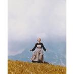  звук ob музыка Jeury - Andrew s импорт фотография примерно 20.3x25.4cm 10768, западное кино.