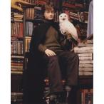  Harry Potter Daniel lado Cliff Harry Potter Daniel Radcliffe импорт фотография примерно 20.3x25.4cm 10801.