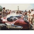  смазка тигр borutaoli Via новый тонн John Grease импорт фотография примерно 20.3x25.4cm 11178d