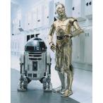  Звездные войны C-3PO R2-D2 Star Wars фильм фотография импортные товары примерно 20.3x25.4cm 11386d