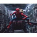  Человек-паук Spider-Man Tom ho Land Tom Holland импорт фотография 11427d
