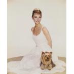  Одри Хепберн Audrey Hepburn импорт фотография 11441d, западное кино.