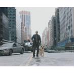  I am Legend вирус ошибка I Am Legend Will Smith импорт фотография 11451r