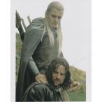  load ob The кольцо ( левый правый 1.4cm. белый земля. )o- Land Bloom vi gomo- тонн sen импорт фотография примерно 20.3x25.4cm 11558r