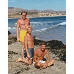  большой wenzte- Jean Michael ведро цент Big Wednesday Jan-Michael Vincen примерно 20.3x25.4cm импорт 11784d.