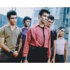  талия боковой история George коричневый сверло sWest Side Story примерно 20.3x25.4cm импорт 12009