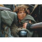  load ob The кольцо качество изображения немного ...ilaija дерево Lord of the Rings фильм фотография импортные товары примерно 20.3x25.4cm 12217r