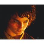  load ob The кольцо ilaija дерево Lord of the Rings фильм фотография импортные товары примерно 20.3x25.4cm 12324r