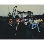  блюз Brother sThe Blues Brothers Dan Aykroyd John Belushi импорт фотография 21438r