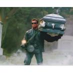  Terminator 2shuwarutsenega-Terminator 2 Arnold Schwarzenegger импорт фотография примерно 20.3x25.4cm 21492