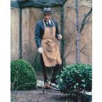  Chance Peter погреб zPeter Sellers примерно 20.3x25.4cm импорт фотография 23070d