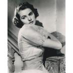  крыло крышка Burgman Ingrid Bergman импорт фотография примерно 20.3x25.4cm 23208