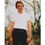 k Lynn to East дерево качество изображения ....Clint Eastwood импорт фотография 23497