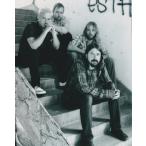  частота f- Fighter zFoo Fighters импорт фотография примерно 20.3x25.4cm 30003d