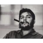  che *ge роза примерно 20.3x25.4cm импорт фотография 30054d