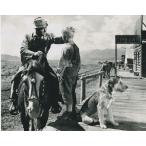 she-n Alain Lad импорт фотография примерно 20.3x25.4cm 30216d, западное кино 