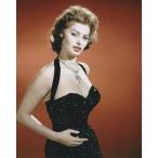  sophia low Len Sophia Loren примерно 20.3x25.4cm 30485d фотография импортные товары 